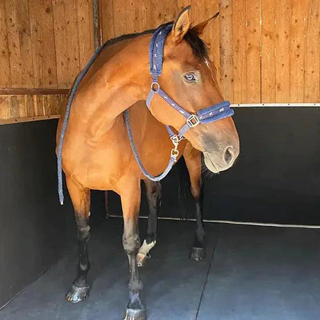 Horse in a stable with safety matting