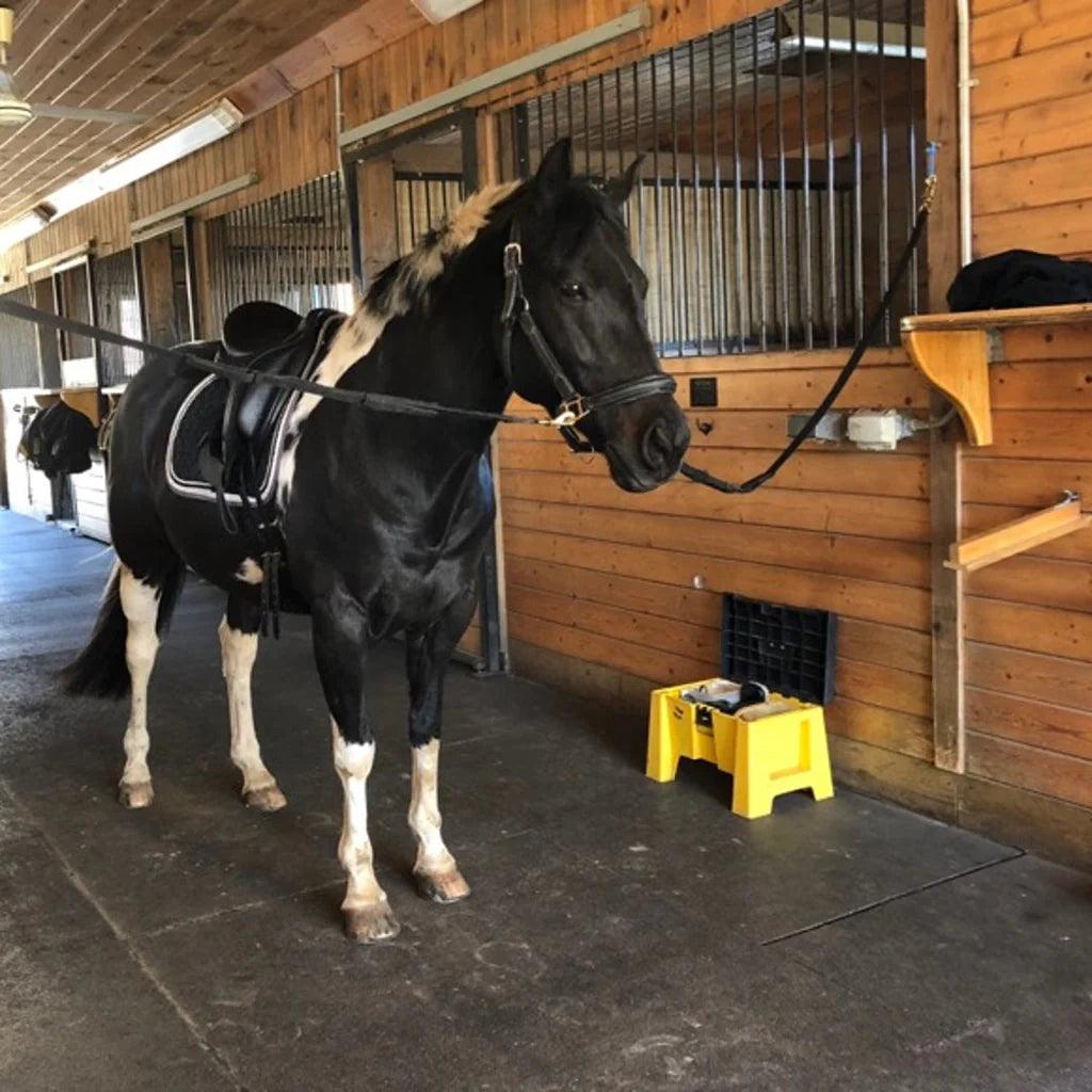 Horse Washing Area Tiles 30mm - 50cm x 50cm GYM FLOORING GymFloors   