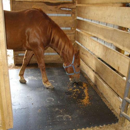 Horse Washing Area Tiles 30mm - 50cm x 50cm GYM FLOORING GymFloors   